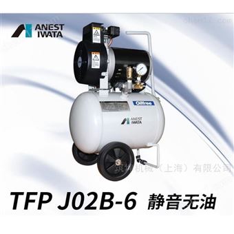 TFPJ02B-6 0.2KW往复式活塞空压机木工喷涂汽配维修适用
